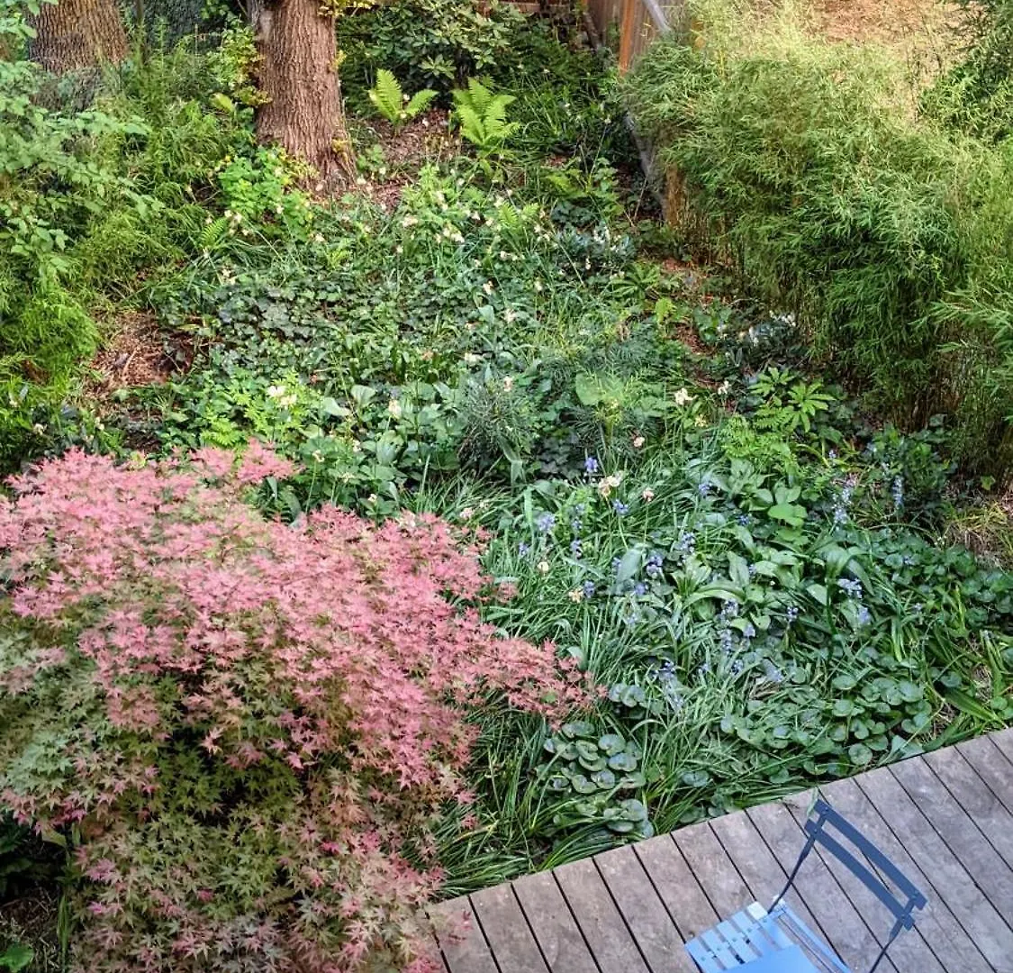 Romantic And Atypical Apartments In Prague'S Montmartre براغ